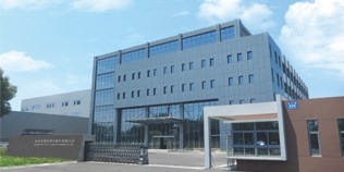 ¶¶È¦- Ϊdu¶øÉú