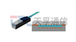 ¶¶È¦- Ϊdu¶øÉú