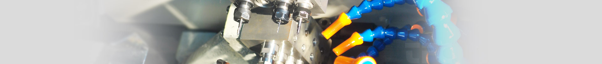 ¶¶È¦- Ϊdu¶øÉú