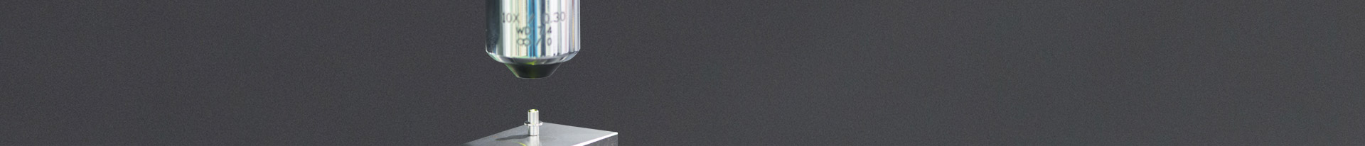 ¶¶È¦- Ϊdu¶øÉú