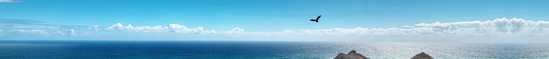 ¶¶È¦- Ϊdu¶øÉú